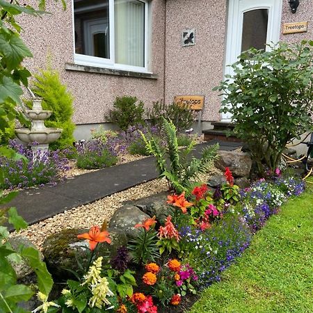 Treetops Bungalow Loch Ness Drumnadrochit Zewnętrze zdjęcie