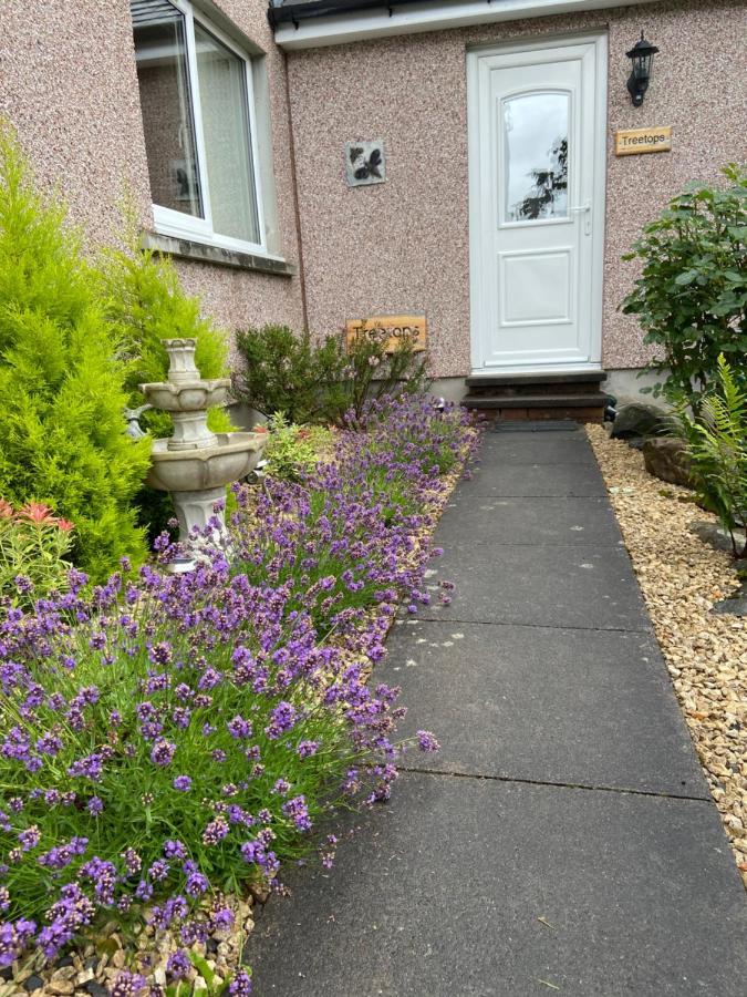 Treetops Bungalow Loch Ness Drumnadrochit Zewnętrze zdjęcie